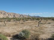 Pinta Benchmark, Arizona