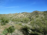 Pyrite Summit Skyline, Arizona