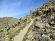 Pyrite Summit Skyline, Arizona