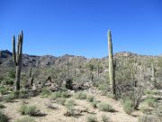 Rabia Benchmark, Arizona