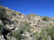 Rabia Benchmark, Arizona