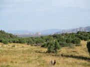 Round Mountain, Arizona