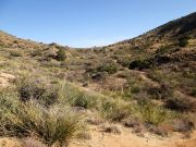 Salt River Mountain, Arizona