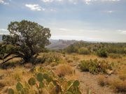 Scheurman Mountain, Arizona