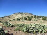 Sheldon Mountain, Arizona