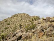 Singal Peak, Central Arizona College