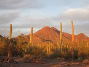 Silver Bell Peak, Arizona