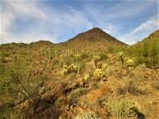 Silver Bell Peak, Arizona