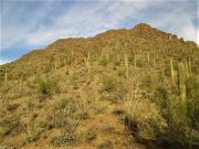 Silver Bell Peak, Arizona