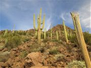 Silver Bell Peak, Arizona