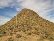 Silver Bell Peak, Arizona