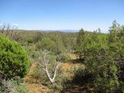 Snowstorm Mountain, Arizona