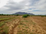 South Mountain Tohono O'odham, Arizona