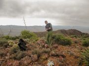 South Mountain Tohono O'odham, Arizona