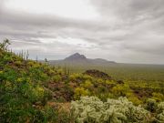 South Mountain Tohono O'odham, Arizona