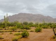 South Mountain Tohono O'odham, Arizona