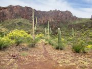 South Mountain Tohono O'odham, Arizona