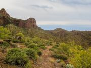 South Mountain Tohono O'odham, Arizona