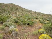 South Mountain Tohono O'odham, Arizona