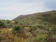 South Mountain Tohono O'odham, Arizona