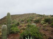 South Mountain Tohono O'odham, Arizona