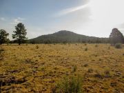 Fortynine Spitz Beacon Hills, Arizona