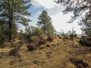 Fortynine Spitz Beacon Hills, Arizona