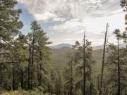 Fortynine Spitz Beacon Hills, Arizona