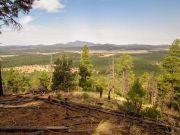 Fortynine Spitz Beacon Hills, Arizona