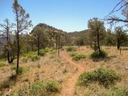 Payson Highpoint, Arizona