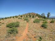 Payson Highpoint, Arizona