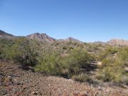 Thompson Peak, Arizona