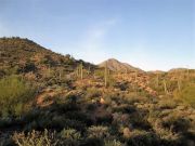 Thompson Peak, Arizona