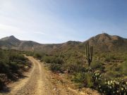 Thompson Peak, Arizona