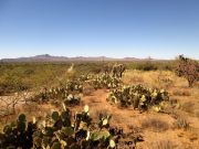 Tortolita Mountain Jeffords Peak, Arizona