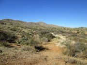 Tortolita Mountain Jeffords Peak, Arizona