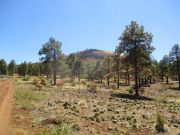 Cerro Trigo, Arizona