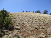 Cerro Trigo, Arizona