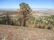 Cerro Trigo, Arizona