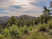 Mount Tritle, Arizona