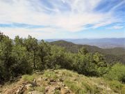 Mount Tritle, Arizona