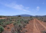 Mount Trumbull, Arizona