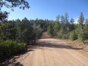 Turkey Peak Payson Mogollon, Arizona