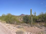 Vulture Peak, Arizona