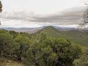 Mount Washington, Arizona