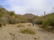 Wasson Peak, Arizona