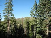 Webb Peak, Arizona