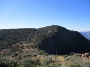 Webster Mountain, Arizona