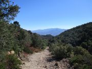 Webster Mountain, Arizona