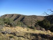 Webster Mountain, Arizona